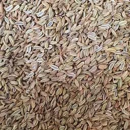 100 г фенхель звичайний плоди сушені - свіжий урожай