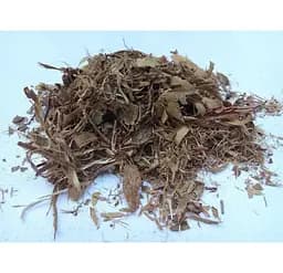 Ліщина Кора Горішник Орішина Лісовий горіх Corylus avellana