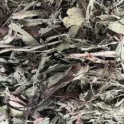 100 г стевія медова трава сушена - свіжий урожай