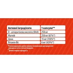 Цинк, Магній, Вітамін В6 з Д-аспарагіновою кислотою Sporter ZMD 90 капсул - мініатюра 2
