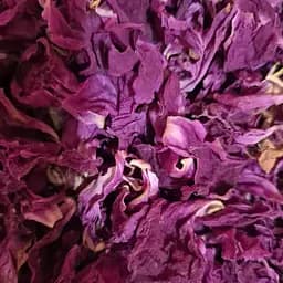 100 г пион красный лепестки сушеные - свежий урожай