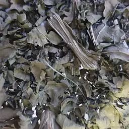 100 г щавель конский лист сушеный- свежий урожай