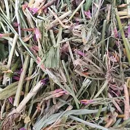 Золототысячник трава сушеная - свежий урожай 100 г 