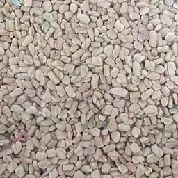 100 г гуньба сінна/пажитник насіння  сушене - свіжий урожай