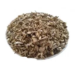Соняшник Корінь Helianthus annuus - мініатюра 1
