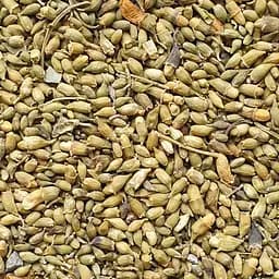 100 г софора японская цвет сушеный - свежий урожай