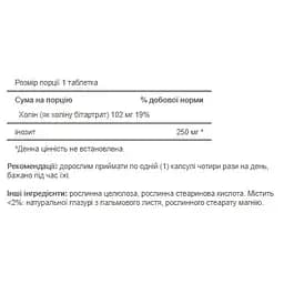 Холін Puritan's Pride Choline Bitartate Inositol 102 mg / 250 mg 100 капсул - мініатюра 2
