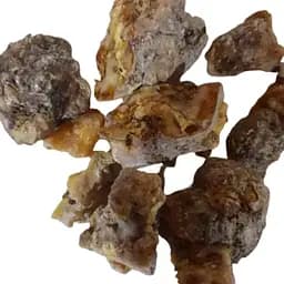 100 г живица\сосновая смола сухая - свежий урожай