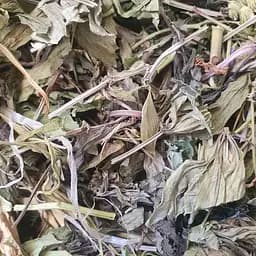 100 г ясменник душистый/подмаренник трава сушеная - свежий урожай