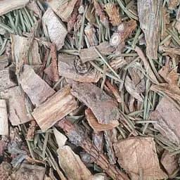 100 г сосна кора сушеная - свежий урожай