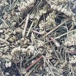 100 г деревій трава сушена - свіжий урожай