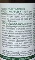 Біологічно активна добавка ФітоБіоТехнології Гриб Веселка 120 капсул - мініатюра 2