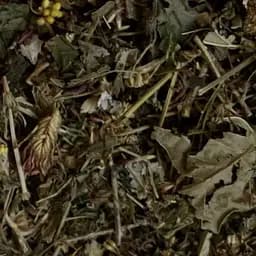 Сбор травяной для снижения холестерина и чистки сосудов, 100 г, (Свое производство)