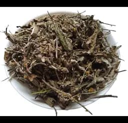 Дивина Трава Коровяк Verbascum phlomoídes - мініатюра 1