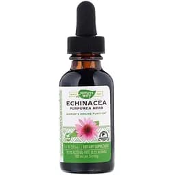 Эхинацея Nature's Way Echinacea без спирта 99.9% 30 мл