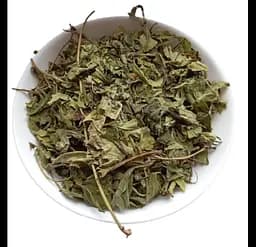 Топінамбур Листя Соняшник бульбистий Helianthus tuberosus - мініатюра 1