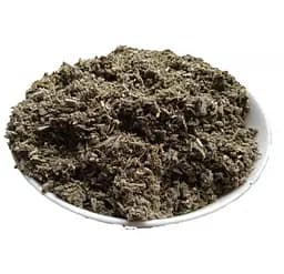 Шавлія лікарська Трава Шалфей Salvia officinalis