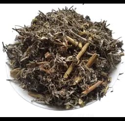 Полин звичайний Трава Чорнобильник Нехворощ Artemisia vulgaris - мініатюра 1