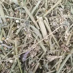 100 г донник/буркун трава сушена  - свежий урожай