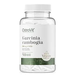 Екстракт плодів малабарського тамаринду OstroVit Vege Garcinia Cambogia, 90 вегакапсул - мініатюра 1