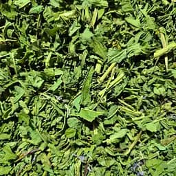 100 г іван-чай вузьколистий, листя без квітів, сушені — свіжий урожай