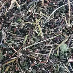 100 г иван-да-марья/марьянник дубравный трава - свежий урожай