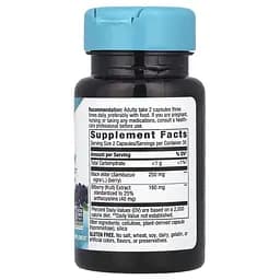 Екстракт ягід чорниці Nature's Way Bilberry Premium Extract, 60 вегакапсул для підтримки очей та покращення зору - мініатюра 2