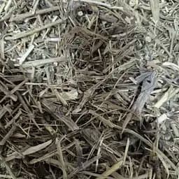 100 г княжик сибирский трава сушеная измельченная- свежий урожай