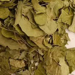 100 г копытень европейский лист сушеный - свежий урожай