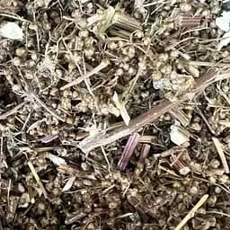 100 г полынь однолетняя трава сушеная