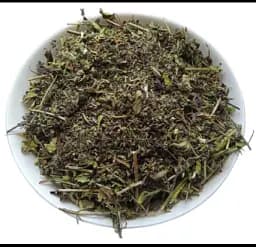 Материнка Трава Орегано Душиця Origanum vulgare