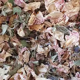 100 г шиповник цвет сушеный - свежий урожай