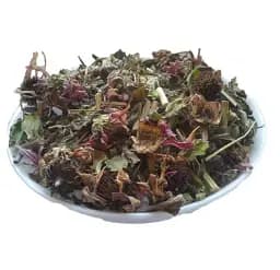 Ехінaцея пурпурова Трава Рудбекія Purple echinacea - мініатюра 1