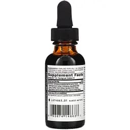 Ехінацея і гідрастіс Nature's Way Echinacea Goldenseal без спирту 30 мл - мініатюра 2