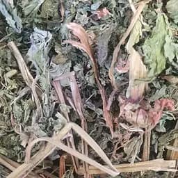 100 г кропива глуха біла трава сушена - свіжий урожай