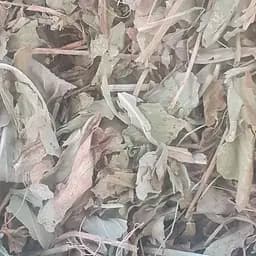 100 г бобовник/трилистник водяной/вахта трехлистная лист сушеный - свежий урожай