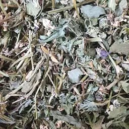 100 г фіалка триколірна трава сушена - свіжий урожай