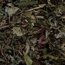 Сбор травяной для разжижения крови, 100 г,