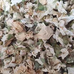 100 г жасмин цвет сушеный Украина/Китай - свежий урожай