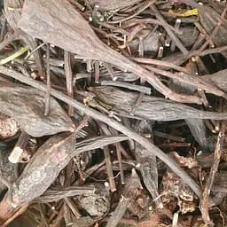 Таволга/гадючник коріння сушене - свіжий урожай 100 г 