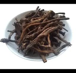 Кульбаба Корінь Бабка Пустодуй Маївка Taraxacum officinale Taraxacum officinale
