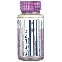 Екстракт чорниці Solaray Bilberry Berry Extract 60 мг 60 веганських капсул - мініатюра 2