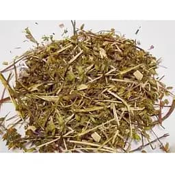 100 г трава змієголовника молдавського - свіжий урожай