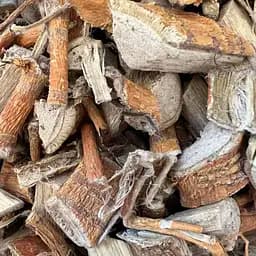 100 г корень шелковицы белой сушеный