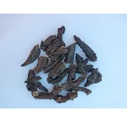 Ранник вузлуватий Корінь Підтинник Scrophularia nodosa - мініатюра 1