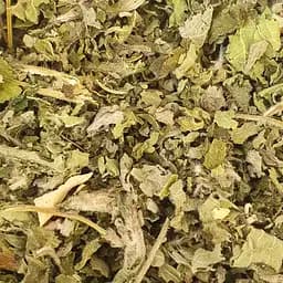 100 г пустырник трава сушеная - свежий урожай