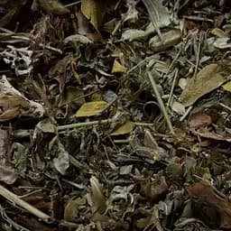 Сбор травяной при гипотереозе щитовидной железы, недостатке йода, 100 г, (Свое производство)