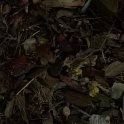 Сбор травяной при мочекаменной болезни от камней в почках, 100 г, (Свое производство)