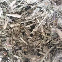 100 г астрагал шерстистоцветковый трава сушеная - свежий урожай