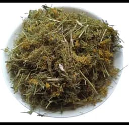 Підмаренник справжній Трава Ботожки Гусятник Galium verum - мініатюра 2